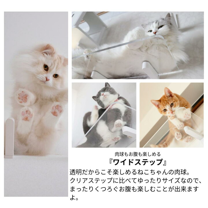 楽天市場】【animacolle ワイドステップ 透明】公式 送料無料 キャット 