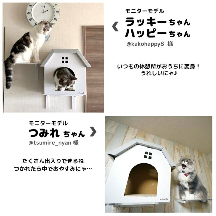楽天市場 Animacolle キャットハウス 白 ピンク キャットウォーク キャットステップ 猫 ハウス 床置き可 ダンボール 爪とぎ キャットロード 壁 キャット おしゃれ シンプル かわいい Diy ねこ ガリガリ おもちゃ ステイホーム アニマコレ Animacolle