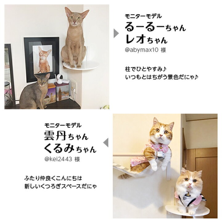 楽天市場】【animacolle コーナーステップ 白】 公式 送料無料 