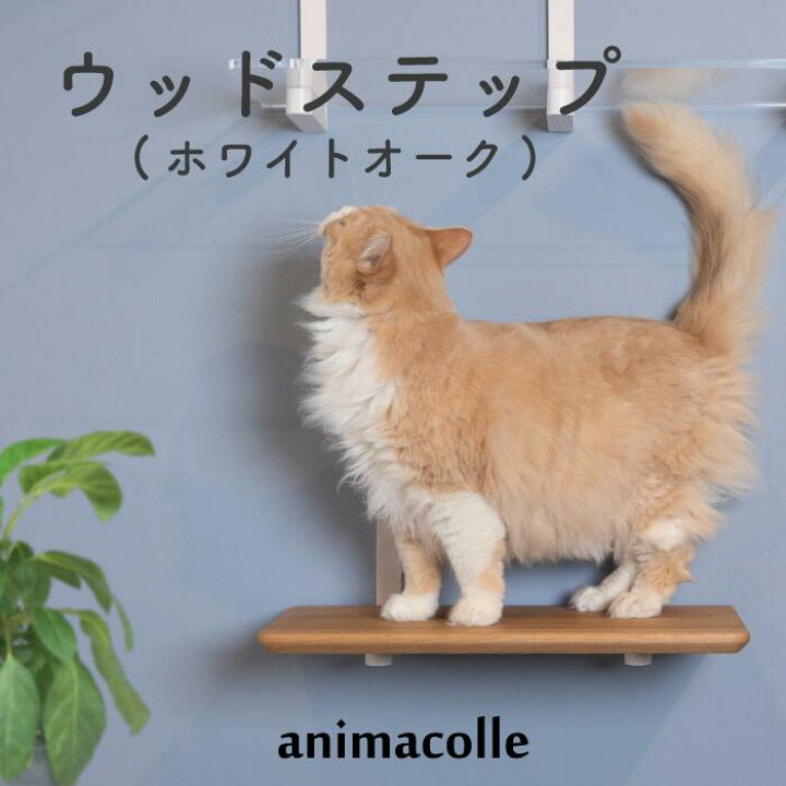 楽天市場】animacolle ウッドステップ（ホワイトオーク) 【正規店 送料 