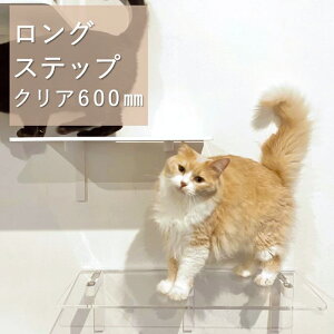 yanimacolle OXebv  600mmz  LbgEH[N LbgXebv Lbg^[ { SǕt I  NA Lbg[h ^L ˂ ^ V 