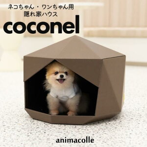 yanimacolle coconel Nz  xbh Lxbh CeA ybgxbh _{[ 킢 ybgpi ^ { S Ǖt I L ^ gݗ  B Q 
