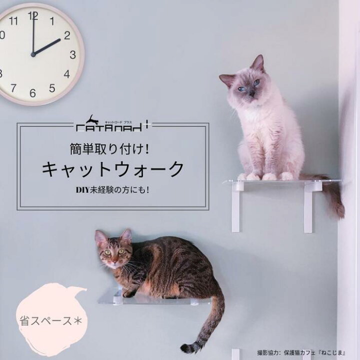 楽天市場】【ワイドステップ 透明3枚セット】animacolle キャット  