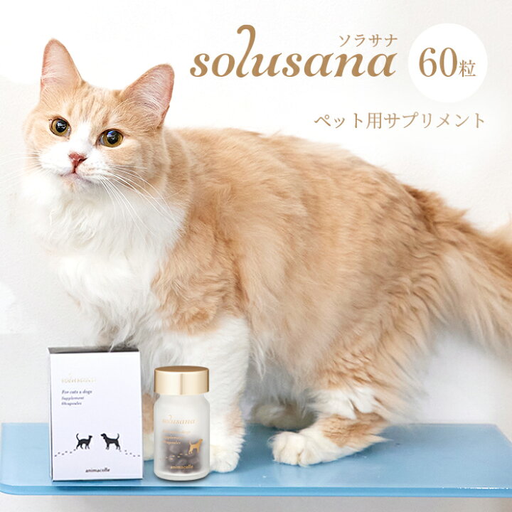 楽天市場 ペットサプリメント Solusana P10倍 送料無料 犬 猫 サプリメント 60粒 約１か月分 ソラサナ 動物 健康補助食品 オメガ3脂肪酸 アルガトリウム Dha Epa オリゴ乳酸 アスタキサンチン 関節 腎臓 血管 眼 腸内環境 皮膚 被毛 免疫 Animacolle アニマコレ