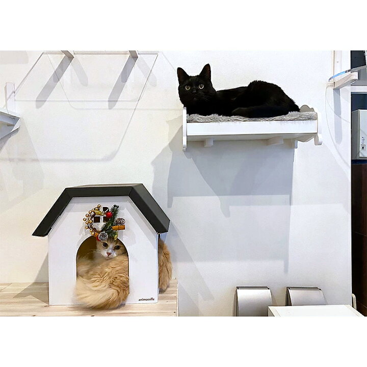 楽天市場 Animacolle キャットハウス 白 グレー キャットウォーク キャットステップ 猫 ハウス 床置き可 ダンボール 爪とぎ キャットロード 壁 キャット おしゃれ シンプル かわいい Diy ねこ ガリガリ おもちゃ ステイホーム アニマコレ Animacolle
