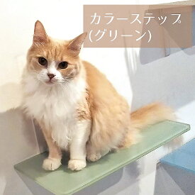 【カラーステップ（グリーン)】animacolle キャットウォーク キャットステップ キャットタワー 正規店 日本製 安全 壁付け 足場 猫 ねこ キャットツリー キャットロード 多頭飼い 大型猫 スリム コンパクト DIY 壁 棚 送料無料 あす楽 アニマコレ おしゃれ 人気 緑 賃貸