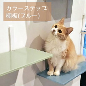 【棚板のみ カラーステップ（ブルー)】animacolle キャットウォーク キャットステップ キャットタワー 正規店 日本製 安全 壁付け 足場 猫 ねこ キャットツリー キャットロード 多頭飼い 大型猫 スリム コンパクト DIY 壁 棚 送料無料 あす楽 アニマコレ おしゃれ 賃貸