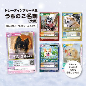 《トレーディングカード風 シール付き》 うちのこ名刺 犬 愛犬 トレカ プレゼント わんちゃん トレカ風 うちの子グッズ ペットの写真で作れる 愛犬オリジナルグッズ 犬の写真 かわいい 愛犬愛猫 ステッカー うちの子シール うちのこ うちの子 オーダー 名刺 オーダーメイド