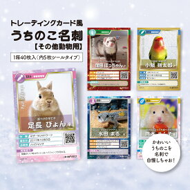 《トレーディングカード風 シール付き》うちのこ名刺ペット名刺作成 ペットの写真で作れる ペット写真グッズ トレーディングカード トレカ オリジナル ショップカード作成 オーダー 作成 愛犬愛猫 ステッカー うちの子シール うちの子グッズ うさぎ 鳥 ハムスター 小動物