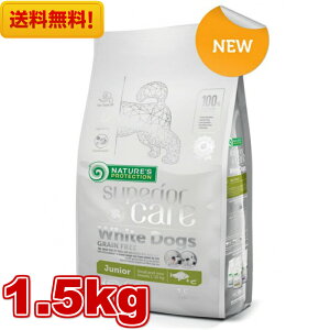 lC`[YveNV zCghbO@OCt[ zCgtBbV WjA 1.5kg Ki hbOt[h hCt[h pt[h  ^ ^  e Ώ ܂