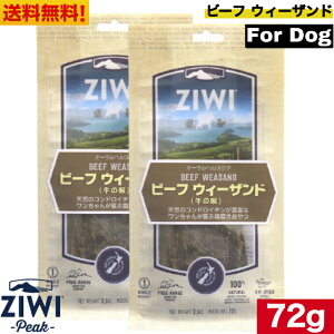 yzZIWI WEB I[wXPA r[tEB[Uh 72g 2܃Zbg v~A t[h ̍A p Sp ^ ^ ^ ^ q    َq 