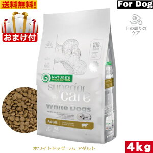 lC`[YveNV zCghbO 4kg Ki hbOt[h hCt[h  ^ ^ ь zCg ܂₯\h ܂₯ h{H ybgpi ybgt[h y