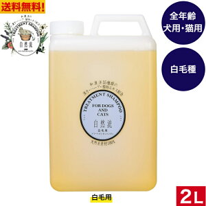 yz R@Vv[ їp@2L Lp@VRnf100 ю S  P  ˂ ybgpi ybg Vv[ LVv[ PA e Ɩp