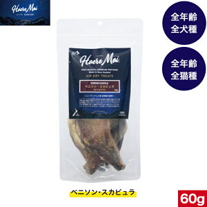 Haere Mai xj\EXJsǐbj 60g n}G p g[jO S Y j[W[hY sgp y  hbOt[h ybgt[h ybgpi ybg 