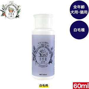 ���R�� �V�����v�[ ���їp 60ml �V�����v�[ �₳���� ���S �y�b�g�p�i �y�b�g�O�b�Y �y�b�g �y�b�g�p�V�����v�[ ���p�V�����v�[ �L�p�V�����v�[ ���̃V�����v�[ �L�̃V�����v�[ �˂��̃V����