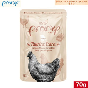 v~[ `L[X ^EGNXg Lg 70g Ki Pramy Lbgt[h ybgt[h EFbgt[h Lp