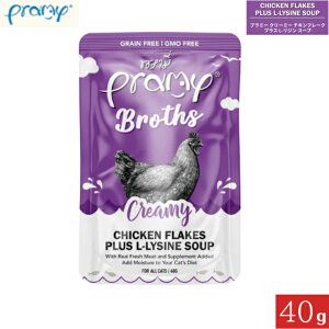 v~[ N[~[ `Lt[N vX L-W X[v 40g Ki Pramy Lbgt[h ybgt[h Lp SL