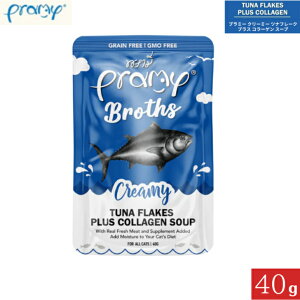 v~[ N[~[ cit[N vX R[Q X[v 40g Ki Pramy Lbgt[h ybgt[h Lp SL