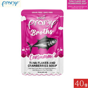 v~[ R\ cit[N Nx[X[v 40g Ki Pramy Lbgt[h ybgt[h Lp SL