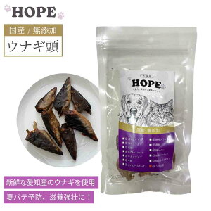 HOPE z[v Ȃ 40g V  Y m? Y p Lp hbOt[h Lbgt[h Sp SLp I[Xe[W SCtXe[W  