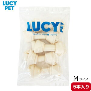 [V[ybg `[CO{[ K MTCY 5{ Ki  p g[c Y   ^ K  ^   s }bT[W ^ ^ p