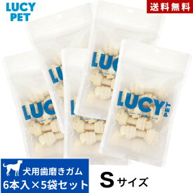 ルーシーペット チューイングボーン S サイズ6本入 5点セット 正規品 無添加 ガムタイプ あご 歯ぐき 運動 ガム おやつ 骨型 牛肉皮 歯磨き 歯茎 マッサージ 小型犬 大型犬 中型犬 犬用 まとめ買い 送料無料