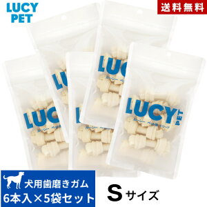 [V[ybg `[CO{[ S TCY6{ 5_Zbg Ki Y K^Cv   ^ K  ^   s }bT[W ^ ^ ^ p ܂Ƃ