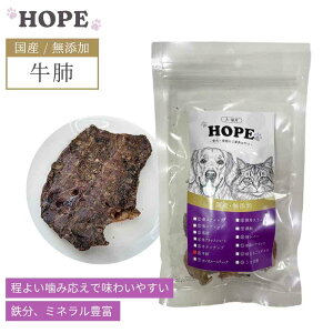   Y HOPE z[v x 20g O Y ɌY wV[ p Lp hbOt[h Lbgt[h ̂ pi VjA ^ Č ^ ^ ybgp