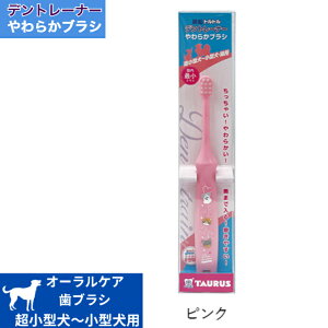 fg[i[炩uV sN 1{ uV ^ ^p ₷ ŏ ɍז 炩  ₷ p ybgpi g̃PA