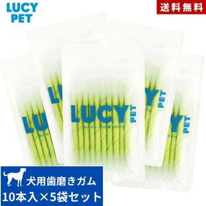 [V[ybg j[gV{[ ~gXeBbN 10{ 5܃Zbg K  s p Sp Y   َq ybgpi f^PA  yz