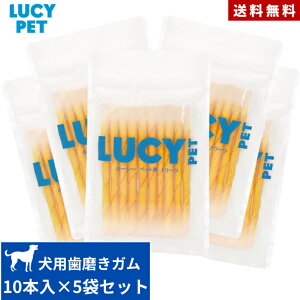 ルーシーペット チューイングスティック グルコサミン&チーズスティック 10本入り 5袋セット ガム 歯磨き 歯茎 犬用 全犬種用 無添加 牛肉皮 おやつ お菓子 ペット用品 デンタルケア お試し
