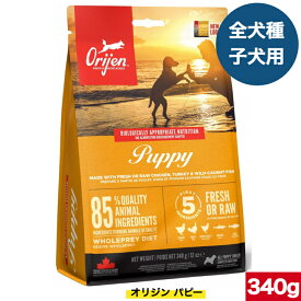 オリジン パピー 340g カナダ産 正規品 ドッグフード ドライフード オールステージ 全ライフステージ 全犬種用 超小型犬 小型犬 中型犬 大型犬 子犬用 成犬用 高齢犬用 妊娠 授乳 母犬 ORIJEN 総合栄養食 穀物不使用 無添加 グレインフリ- お試し