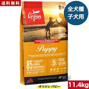 �y���������z�I���W�� �p�s�[ 11.4kg �J�i�_�Y ���K�i �h�b�O�t�[�h �h���C�t�[�h �I�[���X�e�[�W �S���C�t�X�e�[�W �S����p �����^�� ���^�� ���^�� ��^�� �q���p �����p ����p �D�P ��