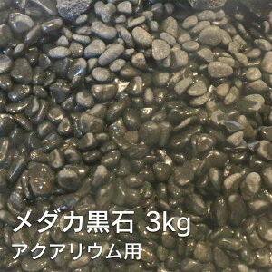  CAEgXg[LO1ʊl! ANAEp _J  3kg p  ANAE CAEg Xg[   x^ rIg[v  DIY   lC  킢