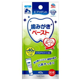 アース・ペット エブリデント 歯みがきペースト ミルクミント風味 40g