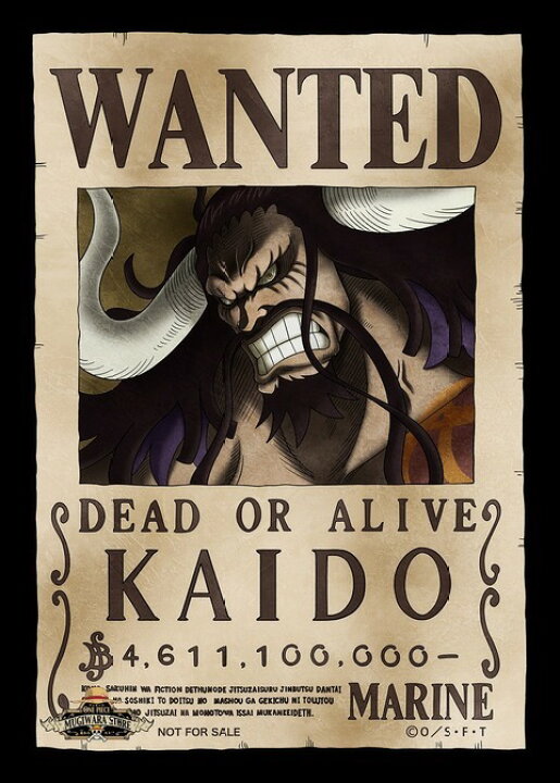 楽天市場】ワンピース ONE PIECE カイドウ 手配書 ブロマイド 新絵柄  