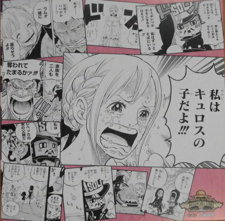 楽天市場】ワンピース ONE PIECE 麦わらストア限定 4周年記念 冒険の 