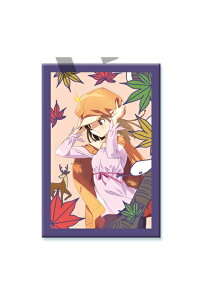 V[Y ԎDʃobW  q ʃobW ObY LfBVigC