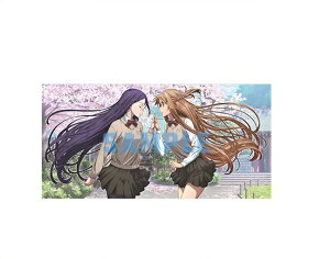  \[hA[gEICvObVu Ȃ̃AA GfBOCXgJ[h e [   ~g AXi 5T ғT J[h