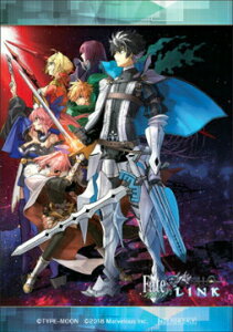 TVAj Fate/EXTRA Last Encore Q[ Fate/EXTELLA LINK tFA NAJ[h 1s|Xg zt