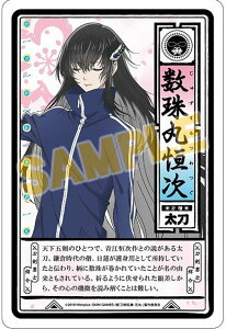  Ԋ J[h AjCg T ۍP  Pi J[hs|Xg zt