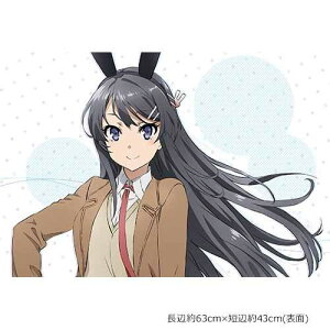 tu^Y̓oj[K[y̖Ȃ  ܂Jo[