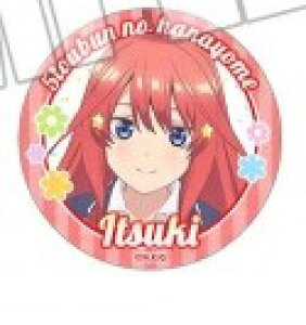 ܓ̉ԉ uChʃobW AjL[rWAe  ܌ ʃobW s|Xg zt