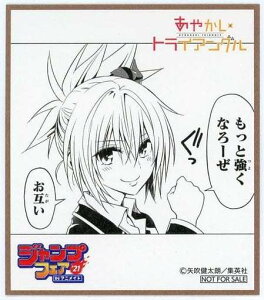 WvtFA in AjCg 2021 ̍wT ~jF ₩gCAO ՗() Pi