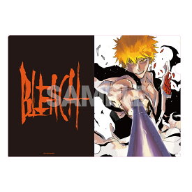 【新品】BLEACH原画展 BLEACH EX. オリジナルクリアファイル 黒崎一護