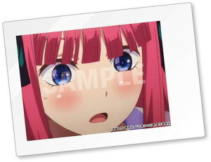 ܓ̉ԉ SCENE PHOTO T B  Pis|Xg zt