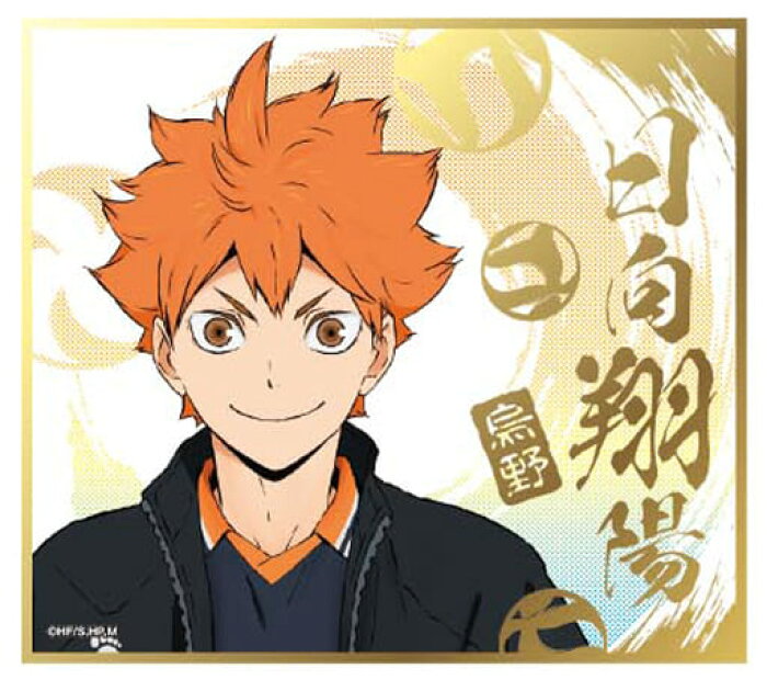 ハイキュー ビジュアル色紙コレクション 4 日向翔陽 単品 ポスト投函 配送可 Product Details Japanese Proxy Shopping Service From Japan