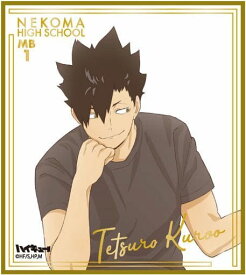 楽天市場 黒尾鉄朗の通販