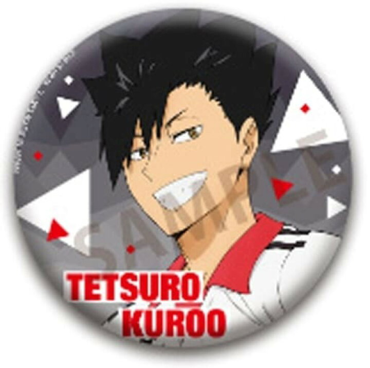 楽天市場】ハイキュー!! スクールオブジェ トレーディング缶バッジ 