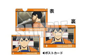 nCL[!! TO THE TOP g[fBO~jNAt@C |XgJ[ht Vol.3 eRY Pi